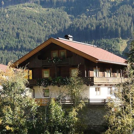 Geisler Claudia Apartment Brandberg Bagian luar foto