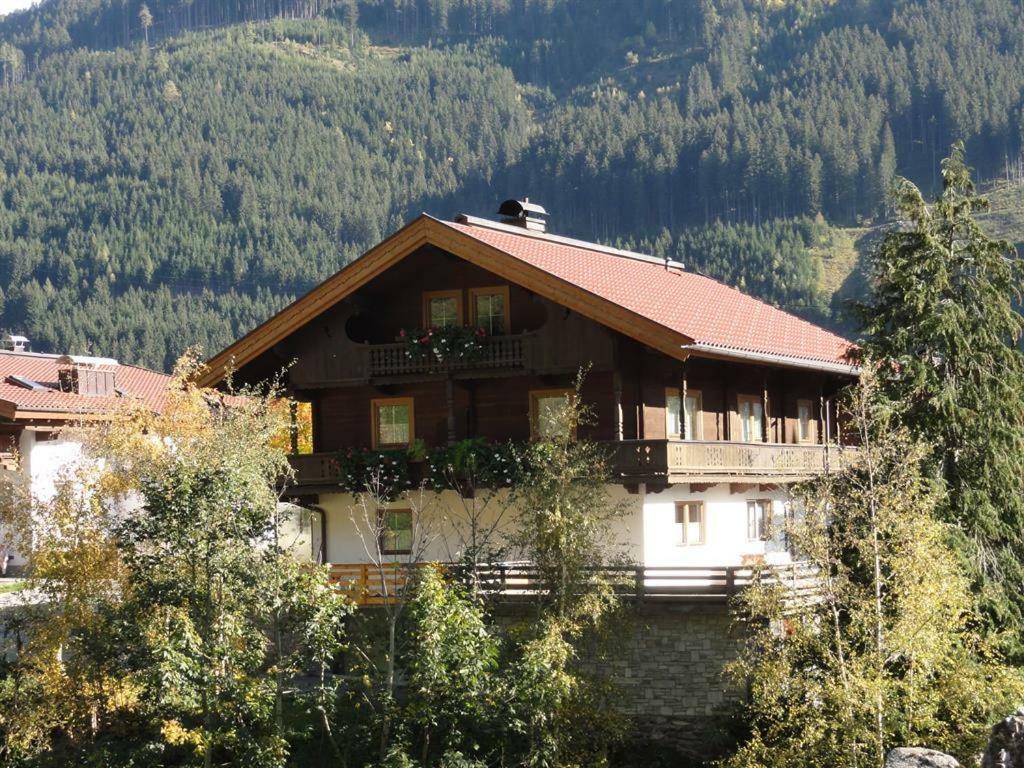 Geisler Claudia Apartment Brandberg Bagian luar foto